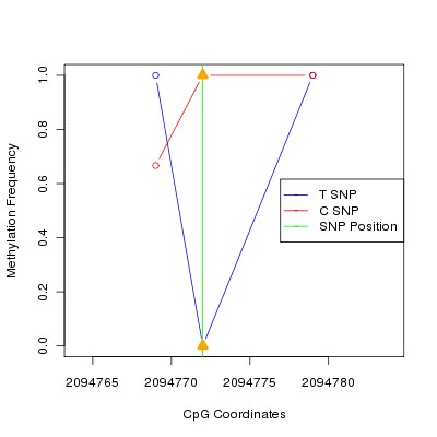 Allele Specific Methylation Frequency Diagram for chr12 2094772 SNP.