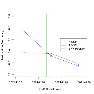 Allele Specific Methylation Frequency Diagram for chr12 30214127 SNP.