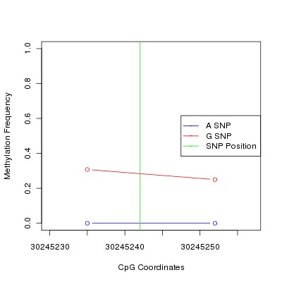 Allele Specific Methylation Frequency Diagram for chr12 30245242 SNP.