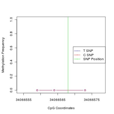 Allele Specific Methylation Frequency Diagram for chr12 34066568 SNP.