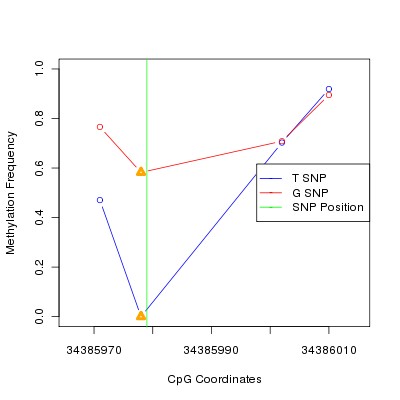 Allele Specific Methylation Frequency Diagram for chr12 34385979 SNP.