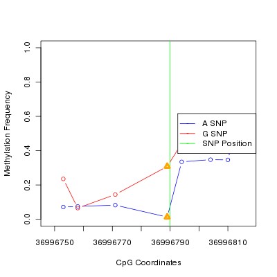 Allele Specific Methylation Frequency Diagram for chr12 36996790 SNP.