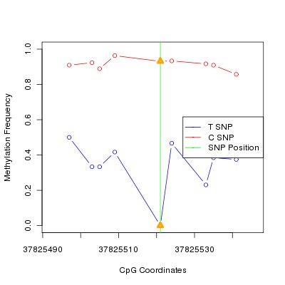 Allele Specific Methylation Frequency Diagram for chr12 37825521 SNP.