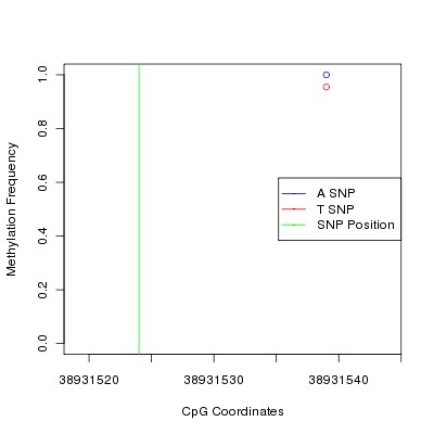 Allele Specific Methylation Frequency Diagram for chr12 38931524 SNP.