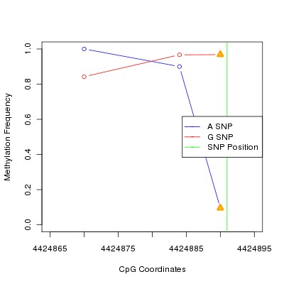 Allele Specific Methylation Frequency Diagram for chr12 4424891 SNP.