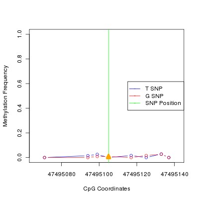 Allele Specific Methylation Frequency Diagram for chr12 47495105 SNP.