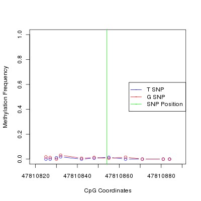 Allele Specific Methylation Frequency Diagram for chr12 47810854 SNP.