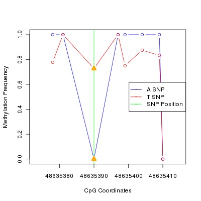 Allele Specific Methylation Frequency Diagram for chr12 48635390 SNP.