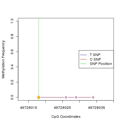 Allele Specific Methylation Frequency Diagram for chr12 49728018 SNP.