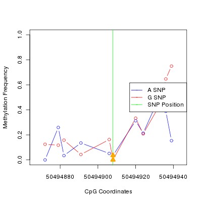 Allele Specific Methylation Frequency Diagram for chr12 50494908 SNP.