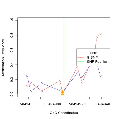 Allele Specific Methylation Frequency Diagram for chr12 50494909 SNP.