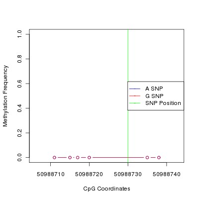 Allele Specific Methylation Frequency Diagram for chr12 50988730 SNP.