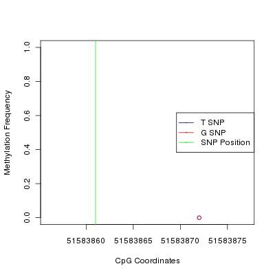 Allele Specific Methylation Frequency Diagram for chr12 51583861 SNP.