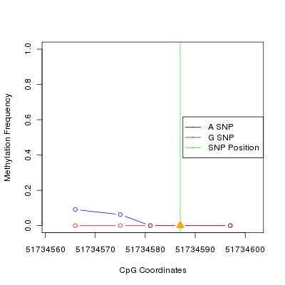 Allele Specific Methylation Frequency Diagram for chr12 51734587 SNP.