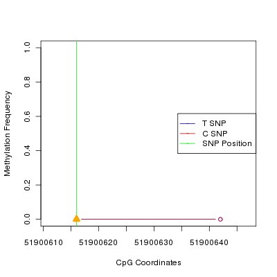 Allele Specific Methylation Frequency Diagram for chr12 51900616 SNP.