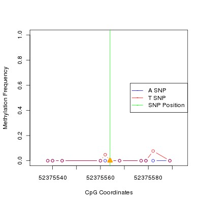 Allele Specific Methylation Frequency Diagram for chr12 52375564 SNP.