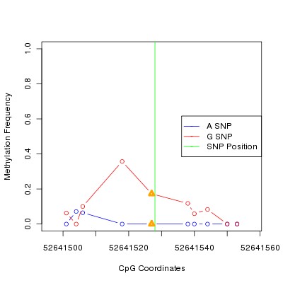 Allele Specific Methylation Frequency Diagram for chr12 52641528 SNP.
