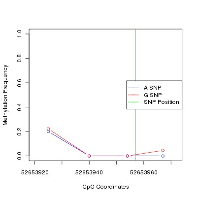 Allele Specific Methylation Frequency Diagram for chr12 52653957 SNP.