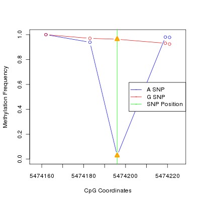 Allele Specific Methylation Frequency Diagram for chr12 5474196 SNP.