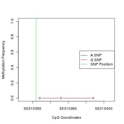 Allele Specific Methylation Frequency Diagram for chr12 55310381 SNP.