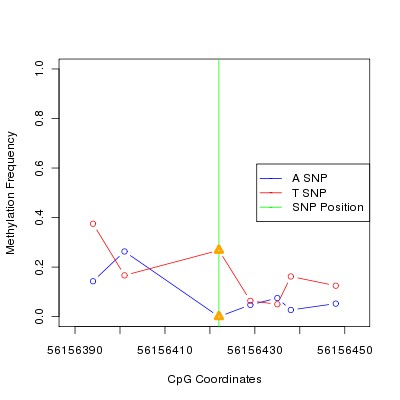Allele Specific Methylation Frequency Diagram for chr12 56156422 SNP.
