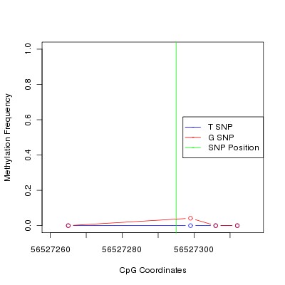 Allele Specific Methylation Frequency Diagram for chr12 56527295 SNP.