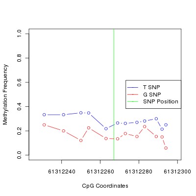 Allele Specific Methylation Frequency Diagram for chr12 61312267 SNP.