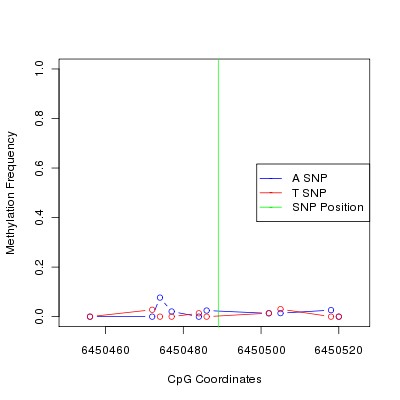 Allele Specific Methylation Frequency Diagram for chr12 6450489 SNP.