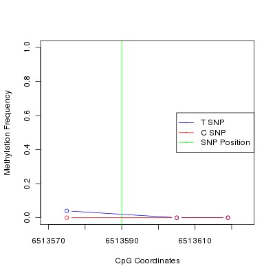 Allele Specific Methylation Frequency Diagram for chr12 6513590 SNP.