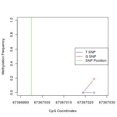 Allele Specific Methylation Frequency Diagram for chr12 67366995 SNP.