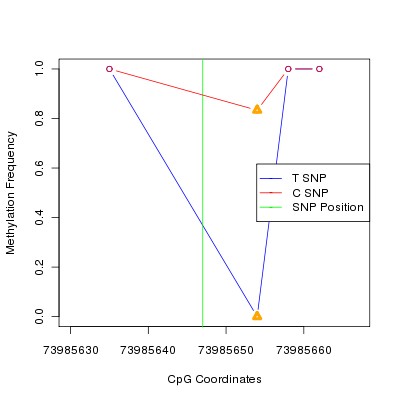 Allele Specific Methylation Frequency Diagram for chr12 73985647 SNP.