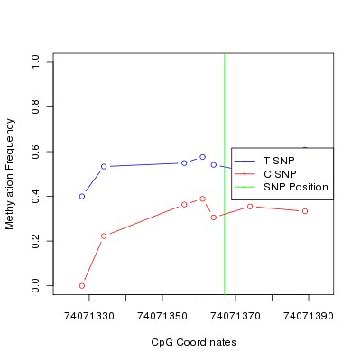 Allele Specific Methylation Frequency Diagram for chr12 74071367 SNP.