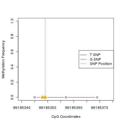 Allele Specific Methylation Frequency Diagram for chr12 99185349 SNP.