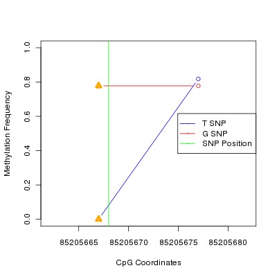 Allele Specific Methylation Frequency Diagram for chr13 85205668 SNP.