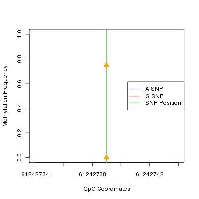 Allele Specific Methylation Frequency Diagram for chr15 61242739 SNP.