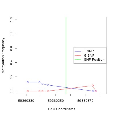 Allele Specific Methylation Frequency Diagram for chr19 59360357 SNP.