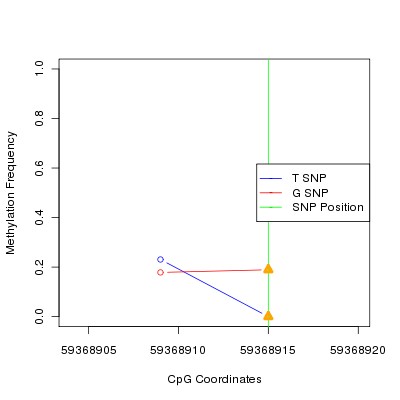 Allele Specific Methylation Frequency Diagram for chr19 59368915 SNP.