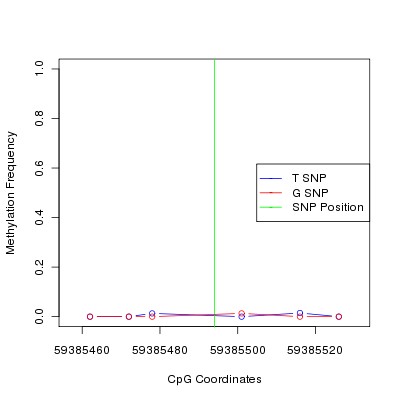 Allele Specific Methylation Frequency Diagram for chr19 59385494 SNP.