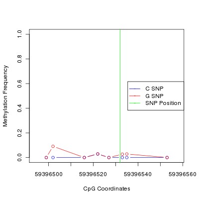 Allele Specific Methylation Frequency Diagram for chr19 59396532 SNP.