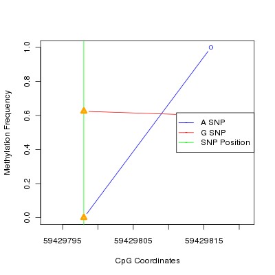 Allele Specific Methylation Frequency Diagram for chr19 59429798 SNP.