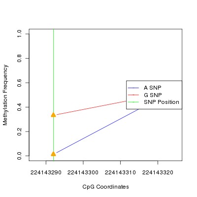Allele Specific Methylation Frequency Diagram for chr1 224143292 SNP.