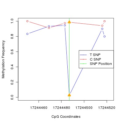 Allele Specific Methylation Frequency Diagram for chr20 17244487 SNP.