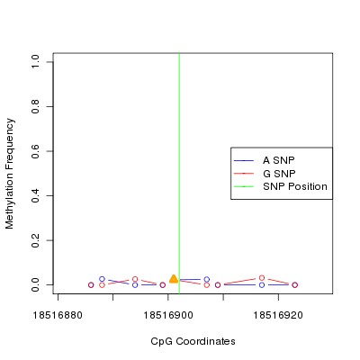 Allele Specific Methylation Frequency Diagram for chr20 18516902 SNP.