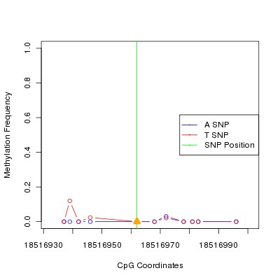 Allele Specific Methylation Frequency Diagram for chr20 18516962 SNP.