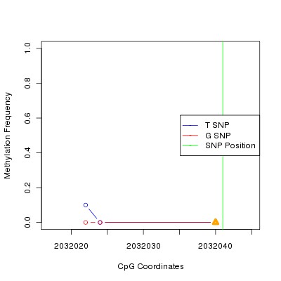 Allele Specific Methylation Frequency Diagram for chr20 2032041 SNP.