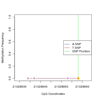 Allele Specific Methylation Frequency Diagram for chr20 21028958 SNP.