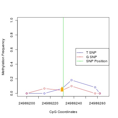 Allele Specific Methylation Frequency Diagram for chr20 24986231 SNP.