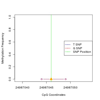 Allele Specific Methylation Frequency Diagram for chr20 24987046 SNP.