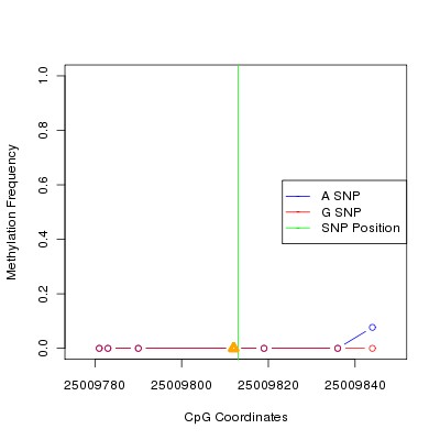 Allele Specific Methylation Frequency Diagram for chr20 25009813 SNP.