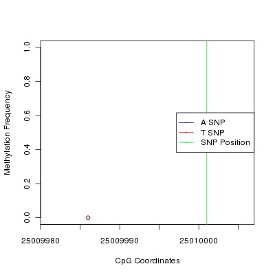 Allele Specific Methylation Frequency Diagram for chr20 25010001 SNP.